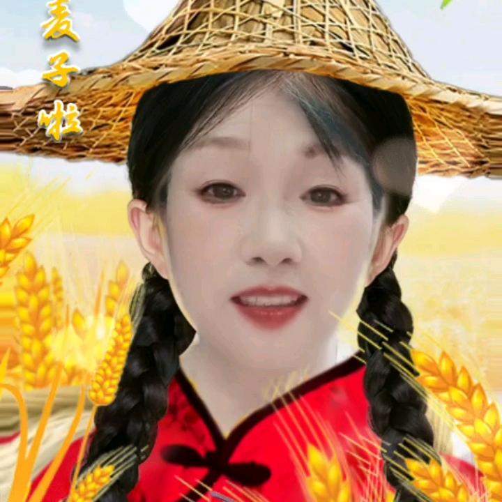 玖悦菊