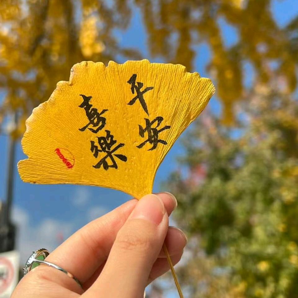 菓儿音乐馆