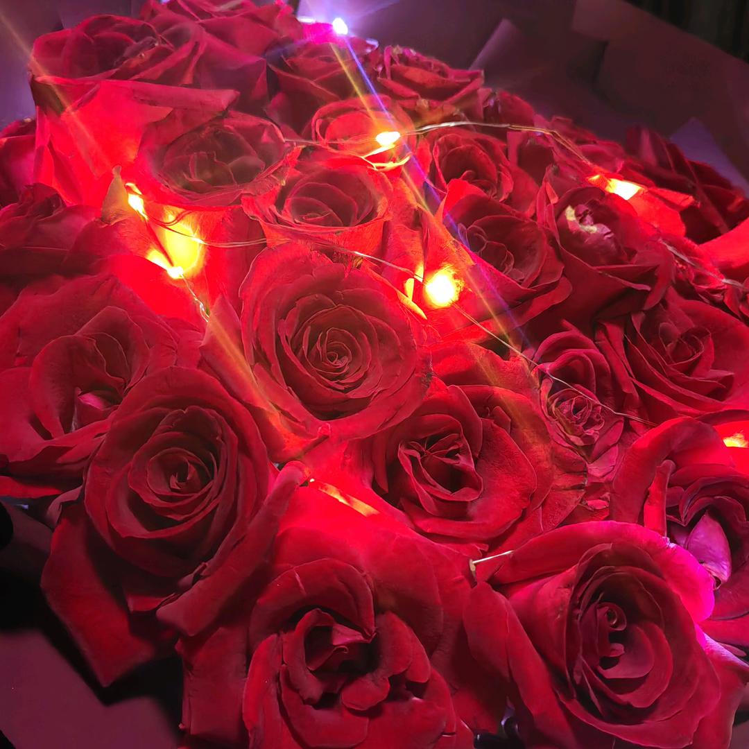 🕊💞ღ单身小姐姐💞🕊