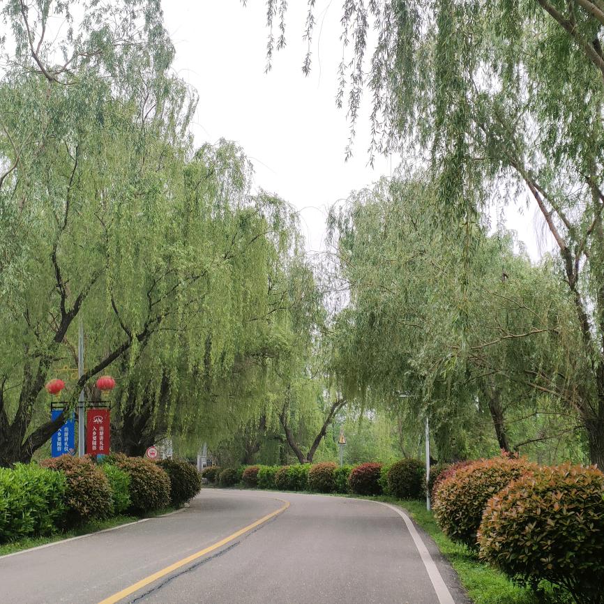 贵州欢欢🍏🍏