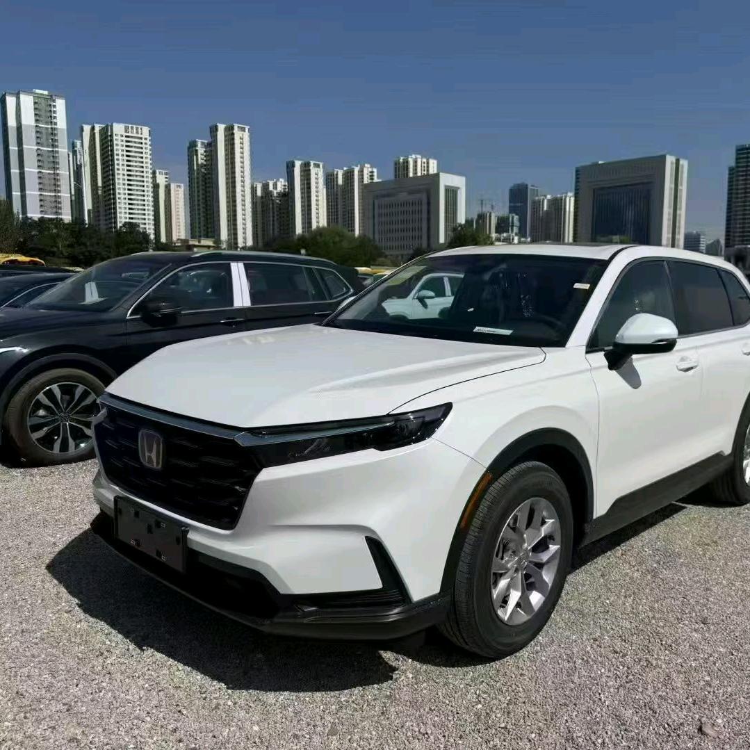 青海诚宇｜小绽