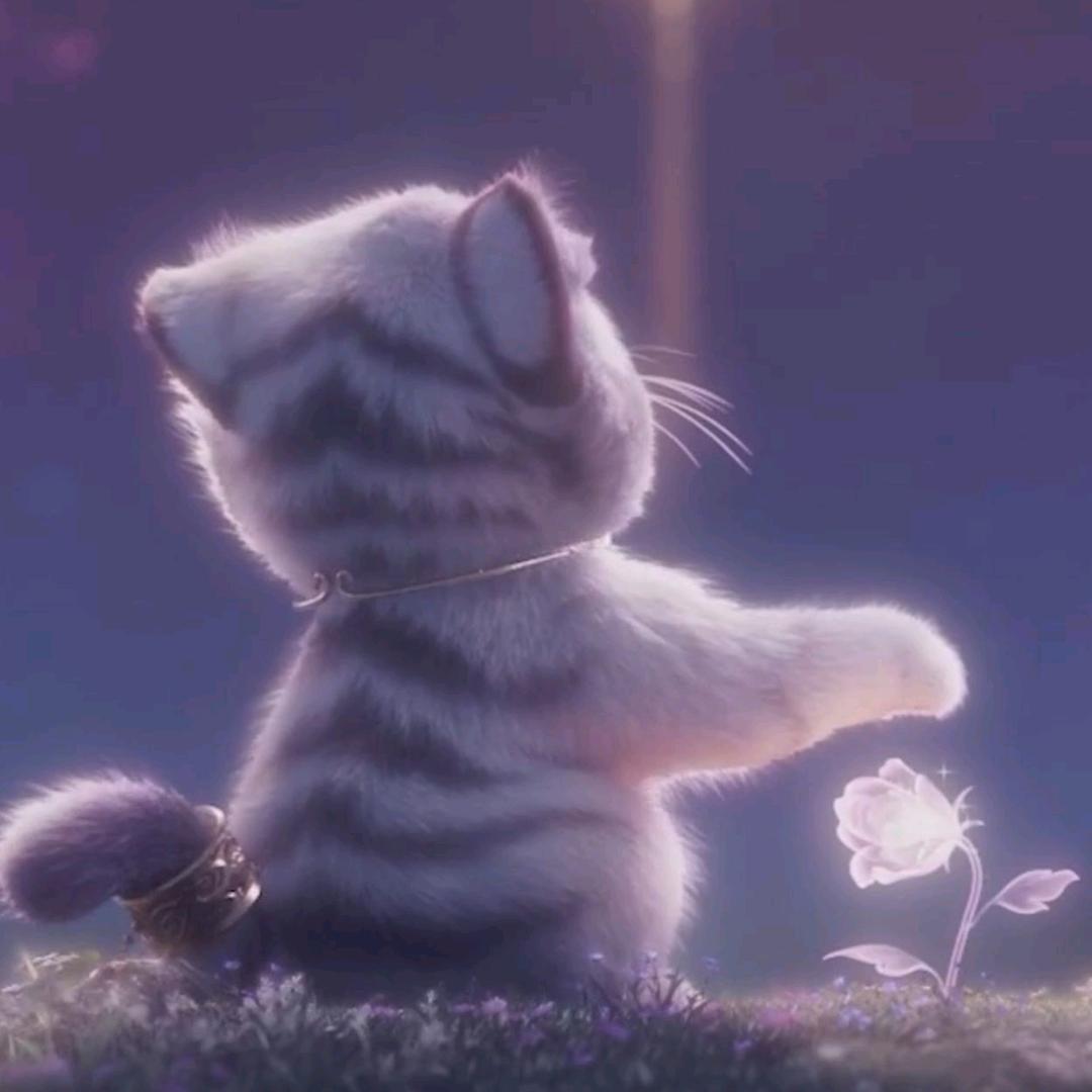 迷人又反叛的小粉丝