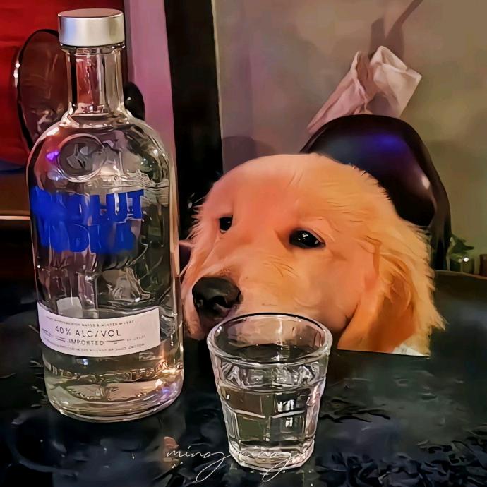 风也诉说爱意。