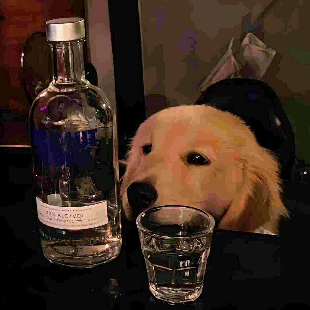 喔喔喔