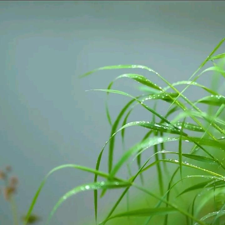 拾光