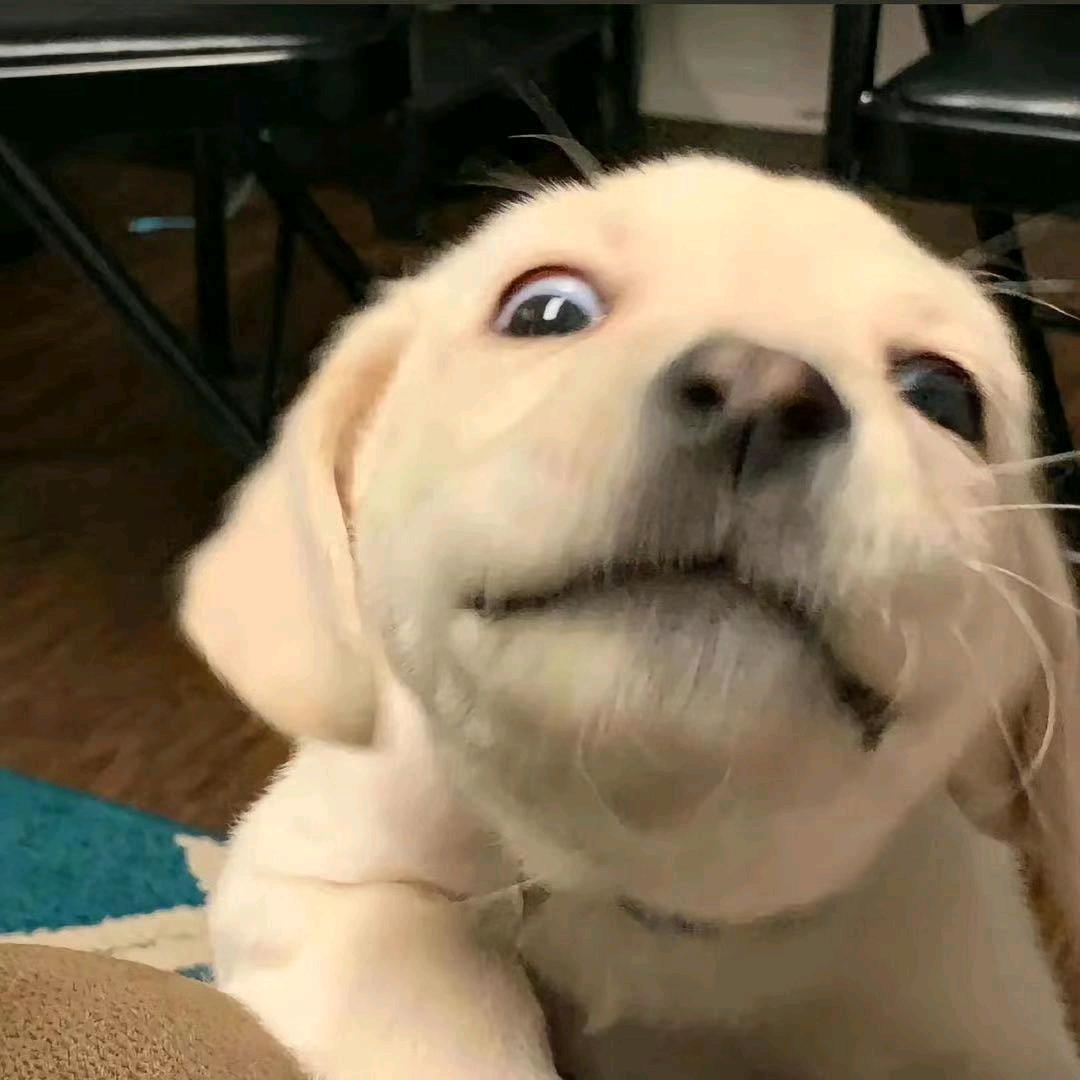 下次早点睡