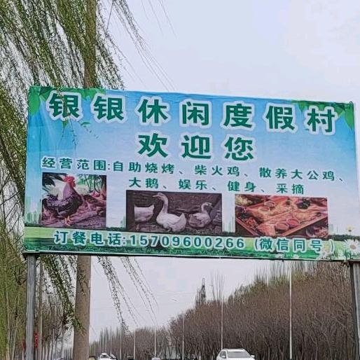 银银农庄，自助烧烤！炒菜！娱乐