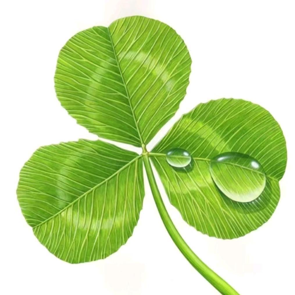 三极房产（极致的位置、房子、价格）