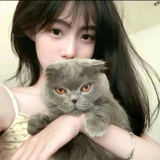小鱼儿