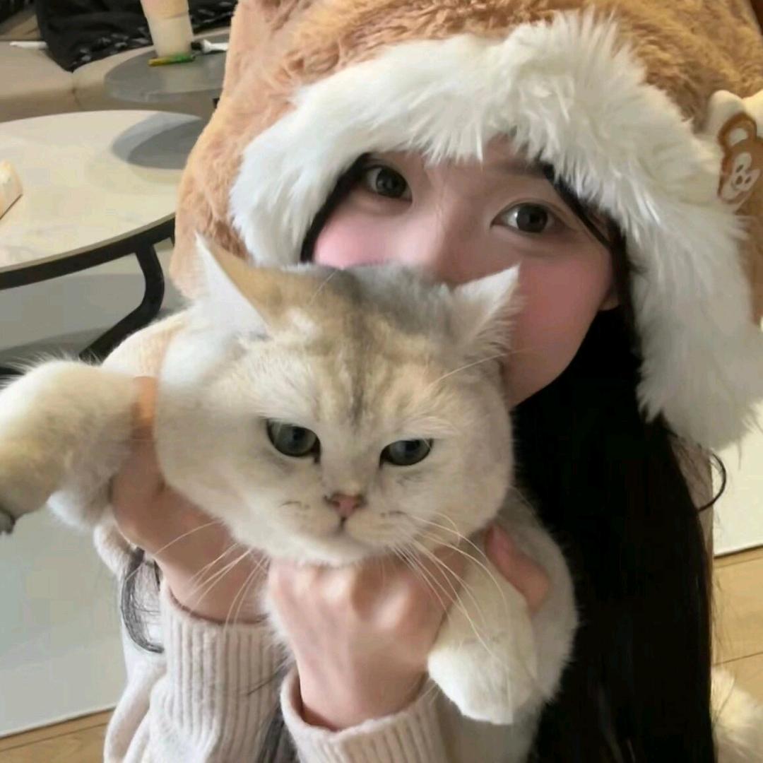 婧婉