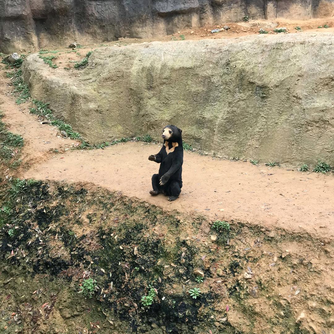 谁明浪子心
