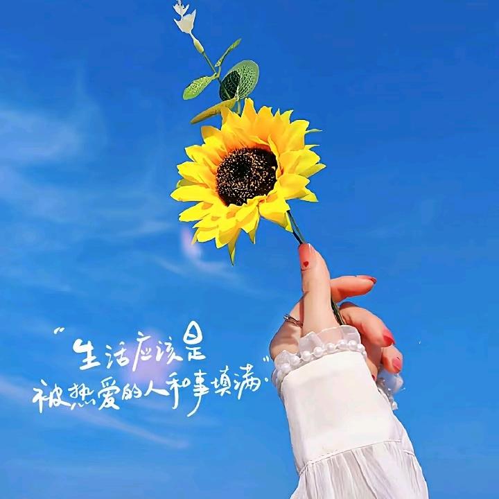 鱼亓