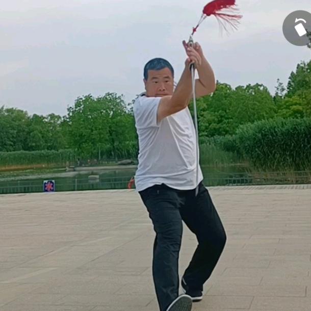 武动的陀螺
