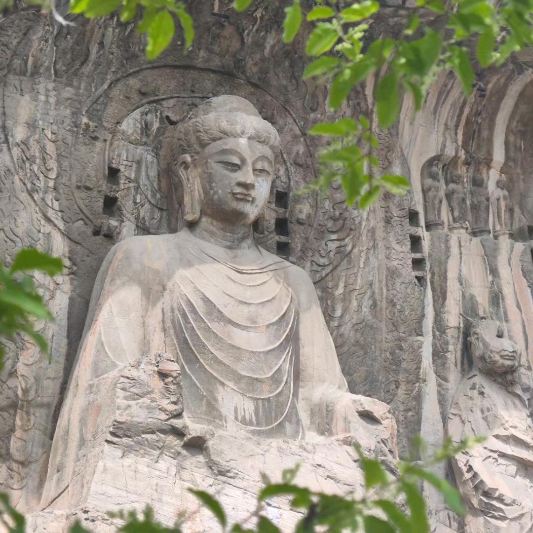 洛阳妞妞