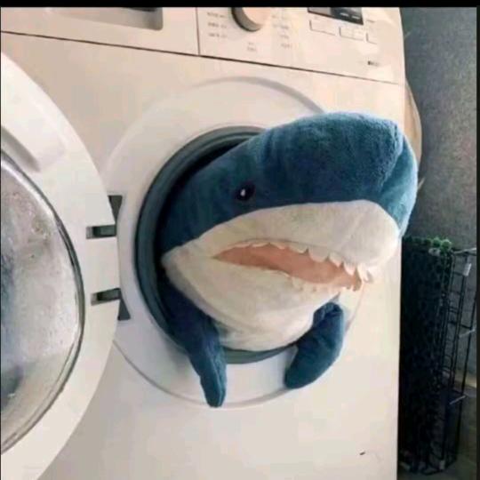 决_