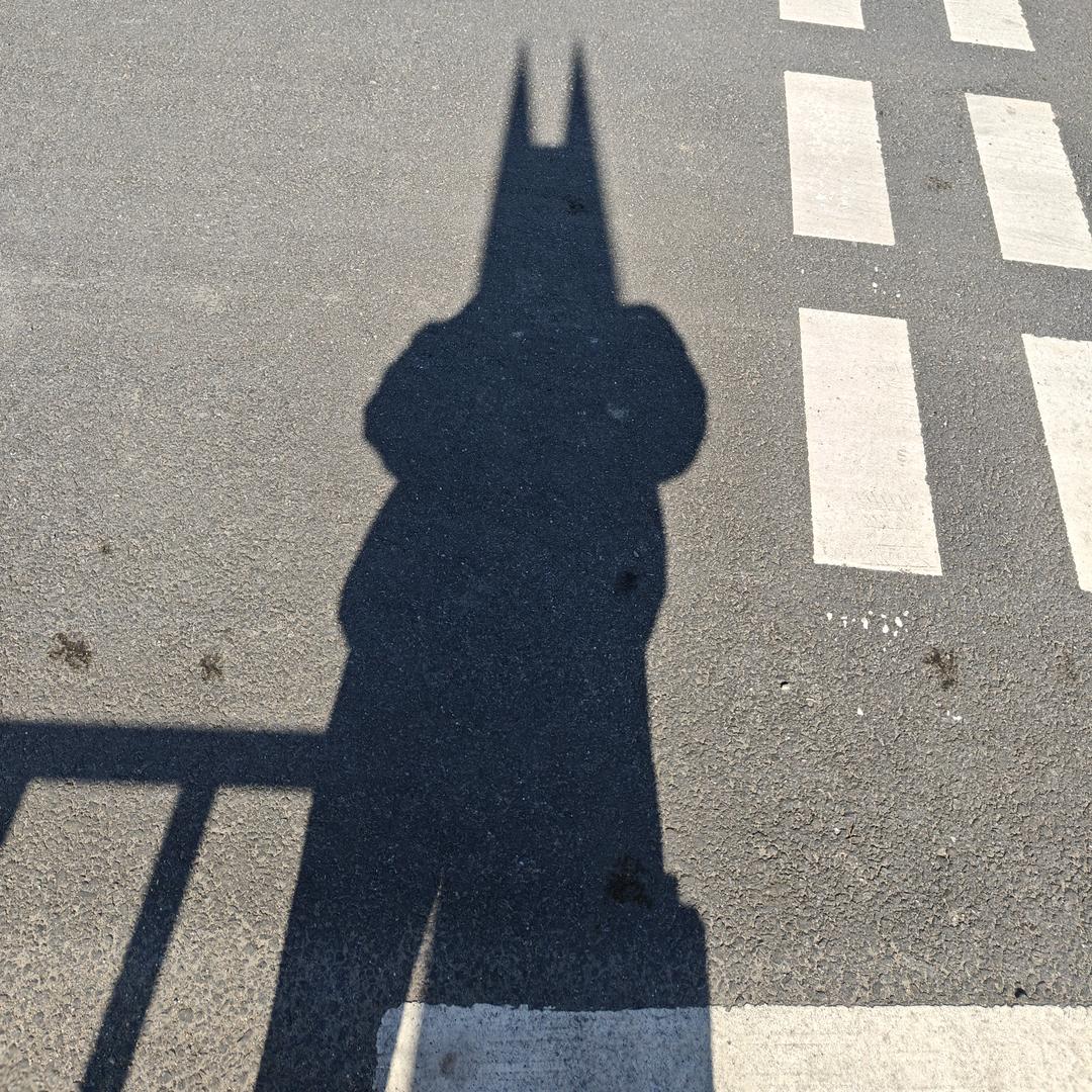 卢大蒙