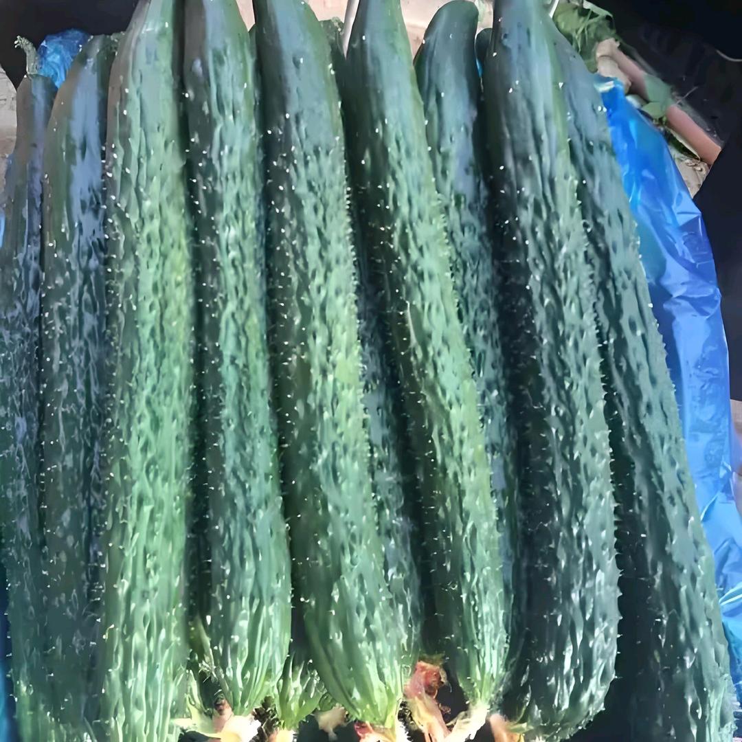 燕姐生鲜1