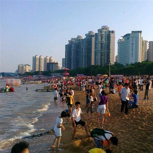 怀念那山那人那些花