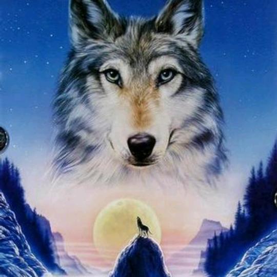 午夜的雨【车火炮】