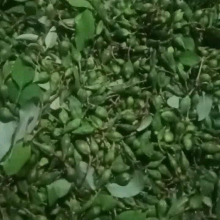 王太平