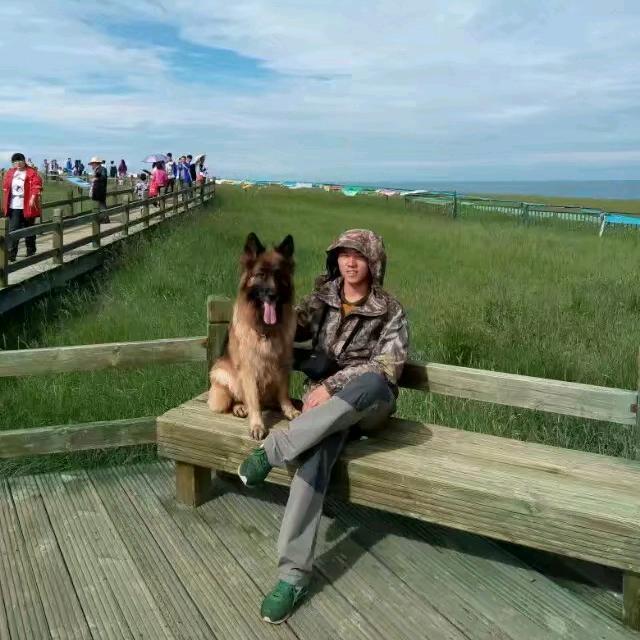 西安阿豆训犬基地官方号