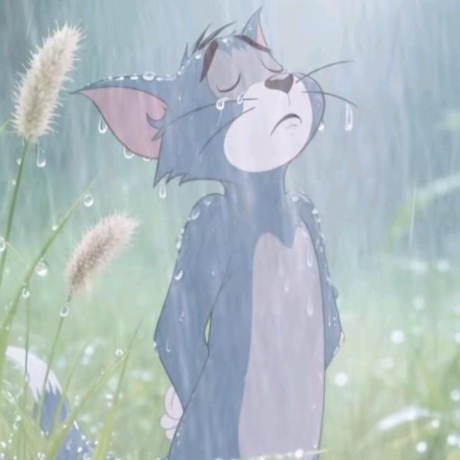 এ᭄ꦿ꯭ꫛ往后余生꧔ꦿএ᭄💕：