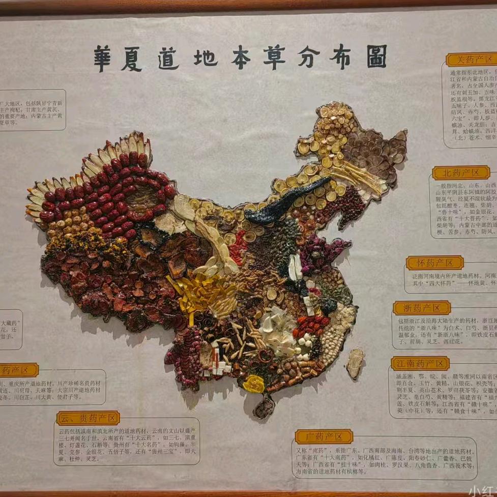 药都天下