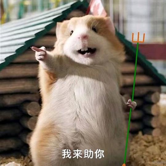 冰狐游戏
