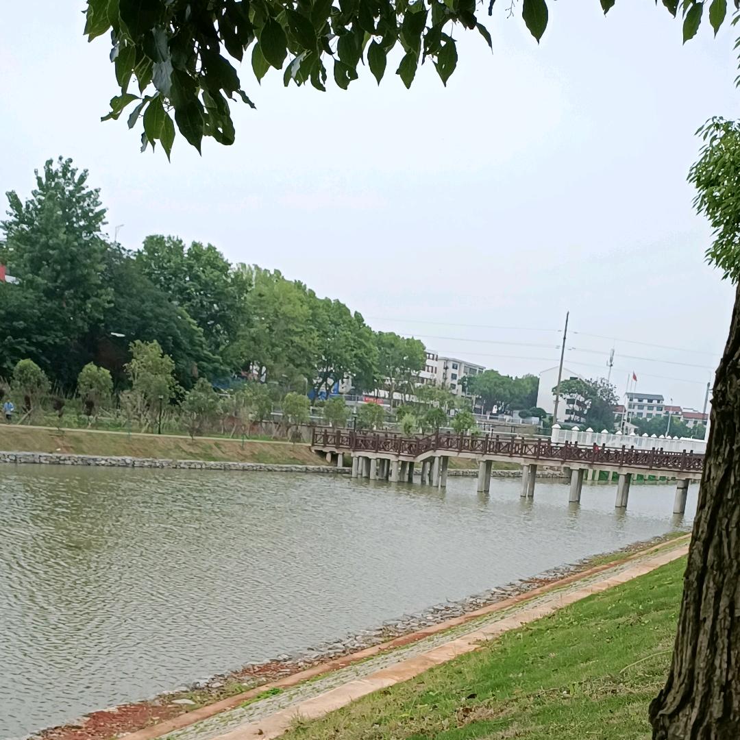 沉默已久