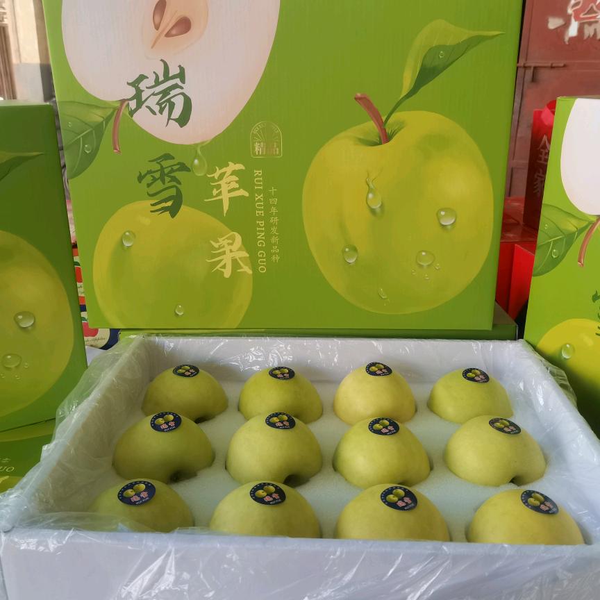 巨丰家庭农场