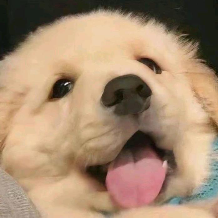 l意