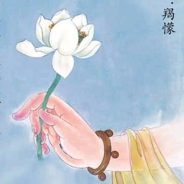 妙法莲华