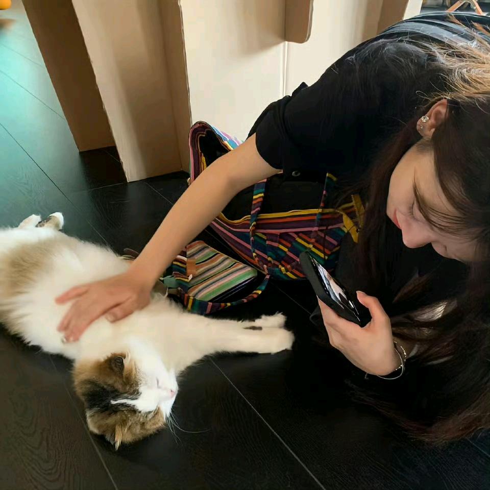 派派.