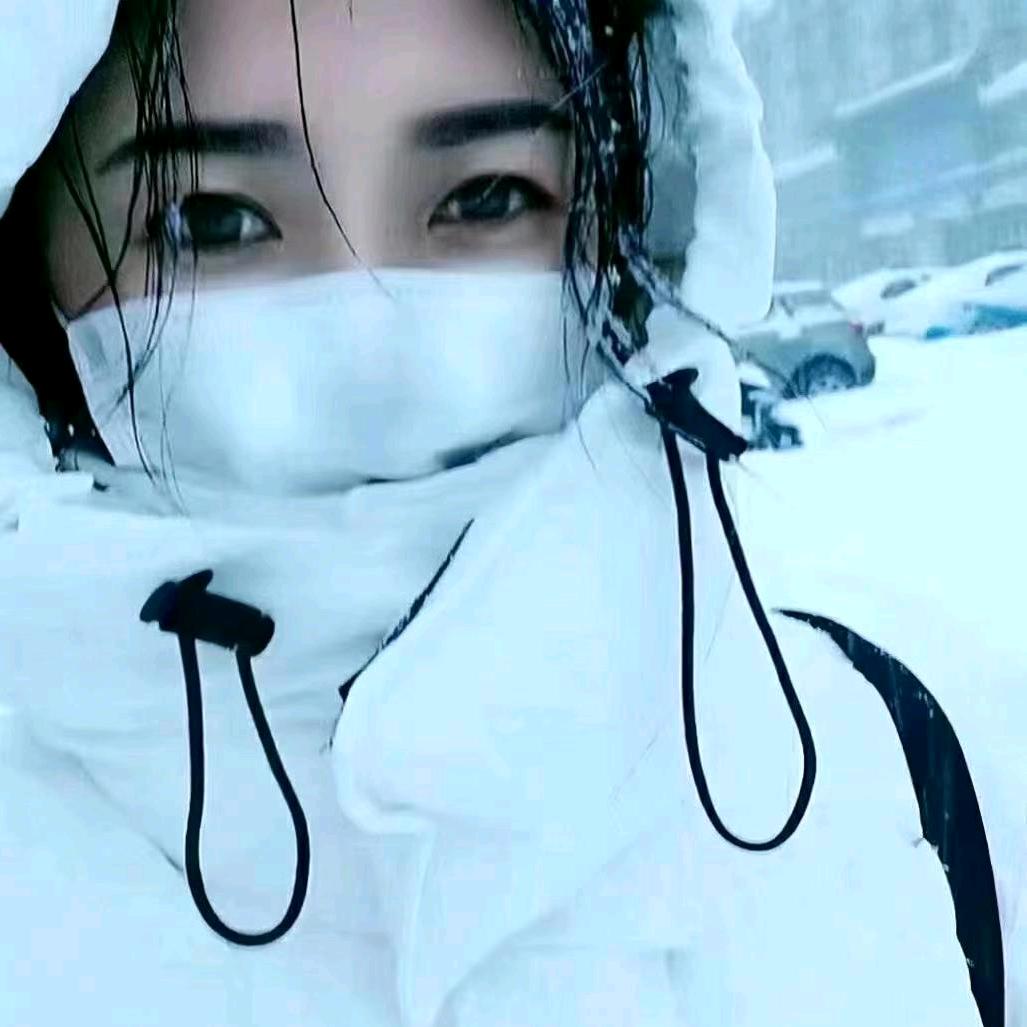 传文