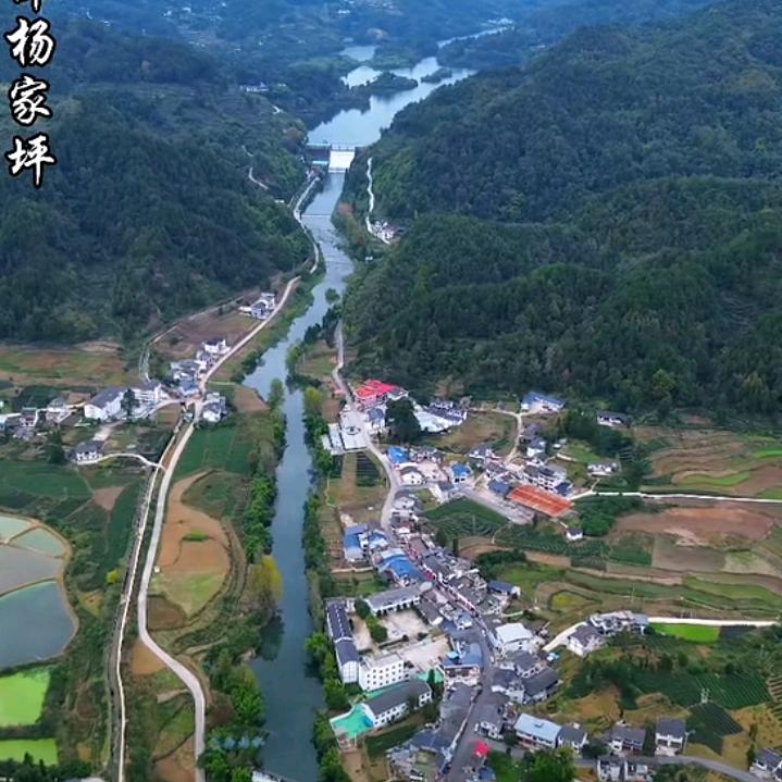 秋风落叶别恋伤！真重...