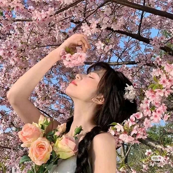 悦悦
