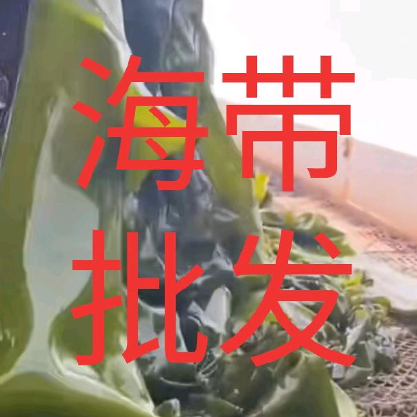 海带批发湖北总代理