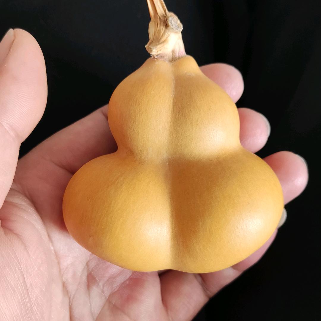 睿辰
