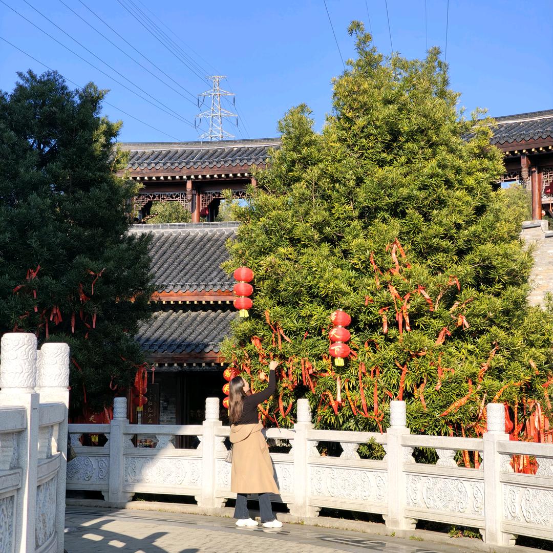 酸酸甜甜
