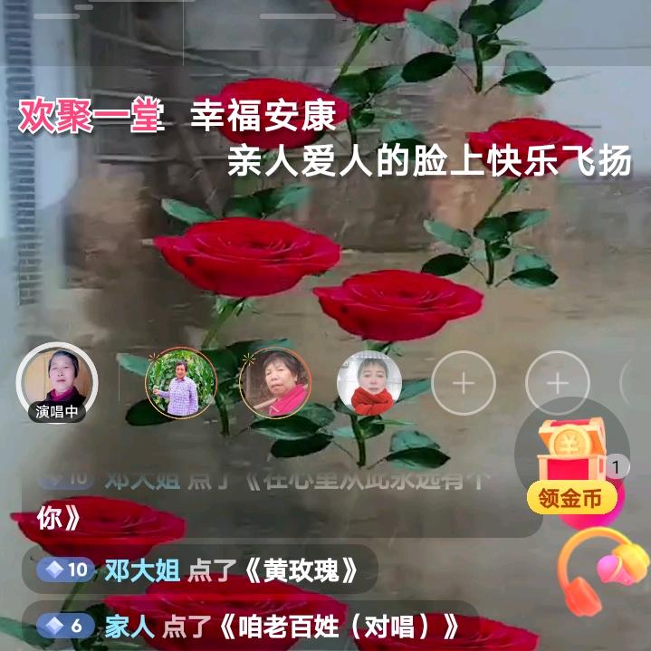向大姐
