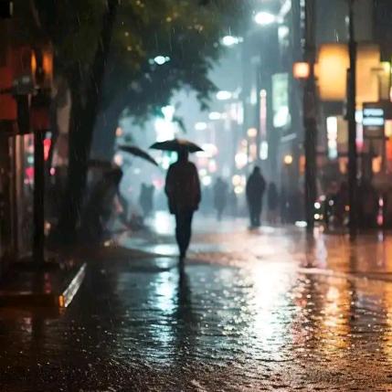 风中的细雨