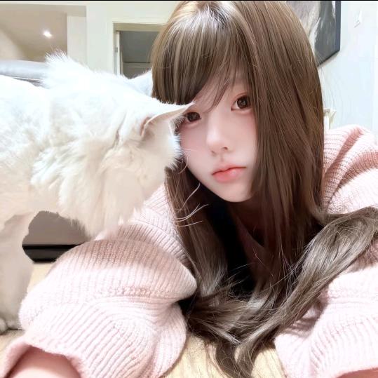 猫咪豆豆