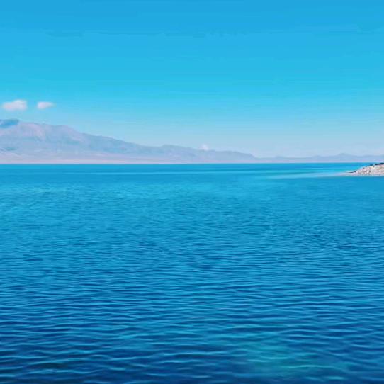 人生百味🌴