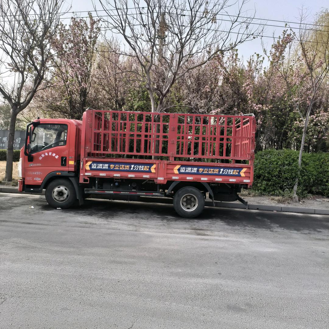 晚霞散步杨柳飘飘