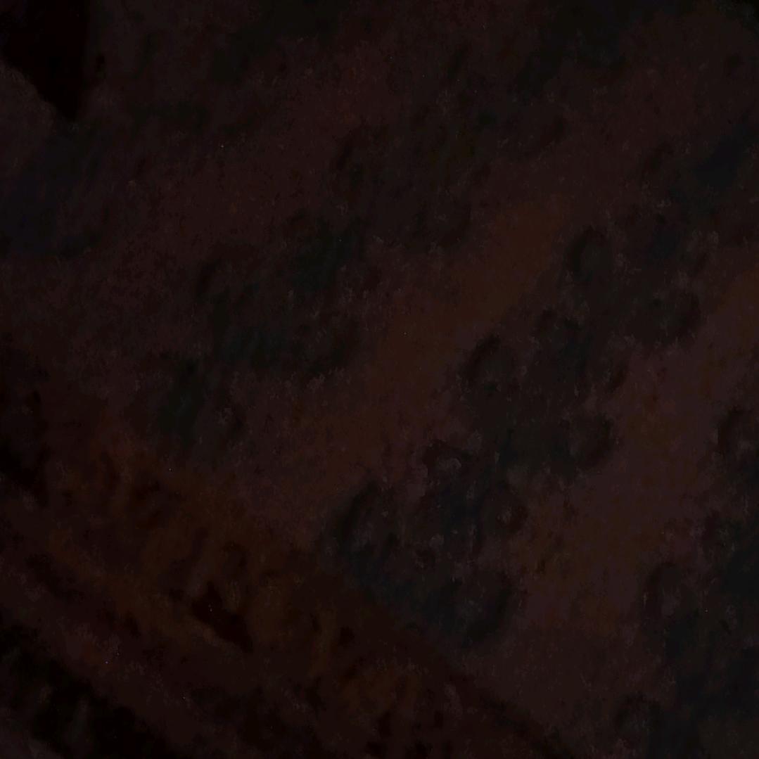 王子