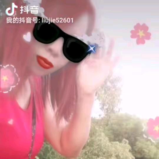 四季红茶