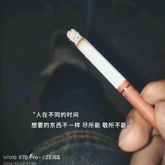 武定10月造型