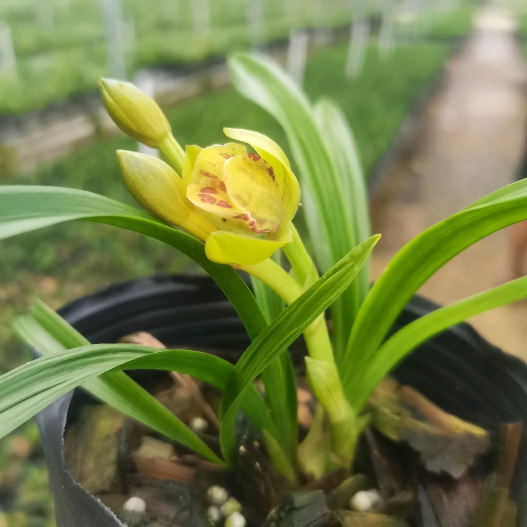 安诺百货花点时间