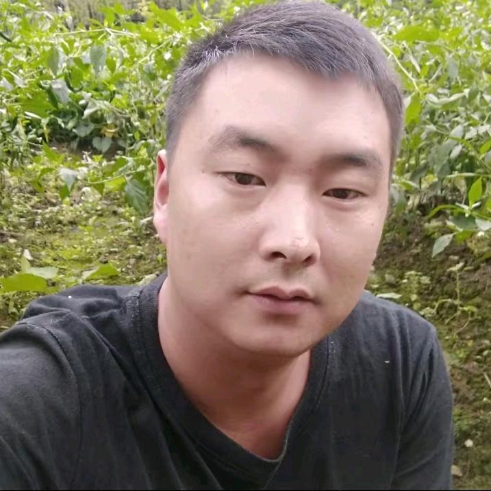 王老幺