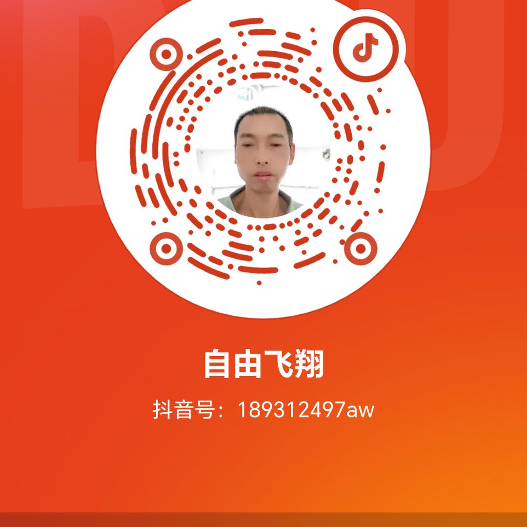 自由飞翔